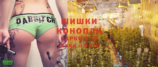мет Новозыбков